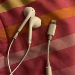Apple Headphones With Adapter 