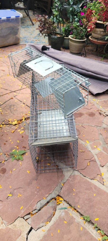 Caged Traps Two Of Them