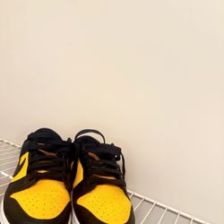 Goldenrod Dunks