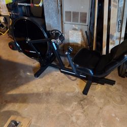 Sitting  Petal  Bike  3 Speeds