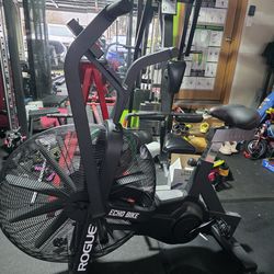 Rogue Echo Bike V2