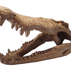 LARGE Vtg Gold Crocodile Bust Head Art Sculpture Skull Modern Modernism Display