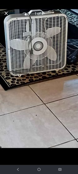 Fan