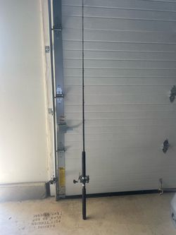 Californian 270S spinning rod 7’ And Penn Jig master