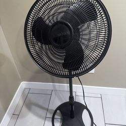 Adjustable standing fan