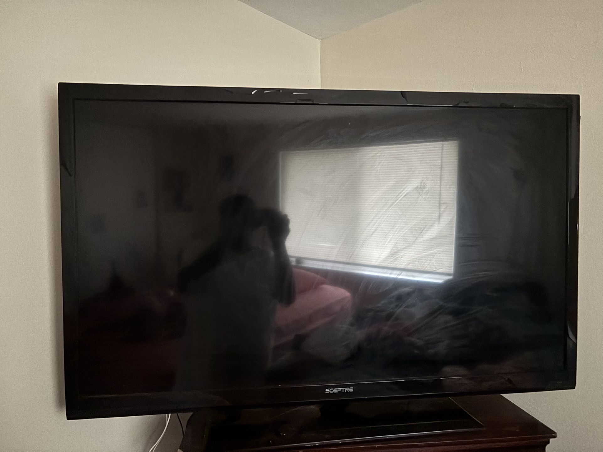 50” Sceptre Tv For Sale!!