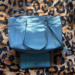 Coach Purse And Wallet