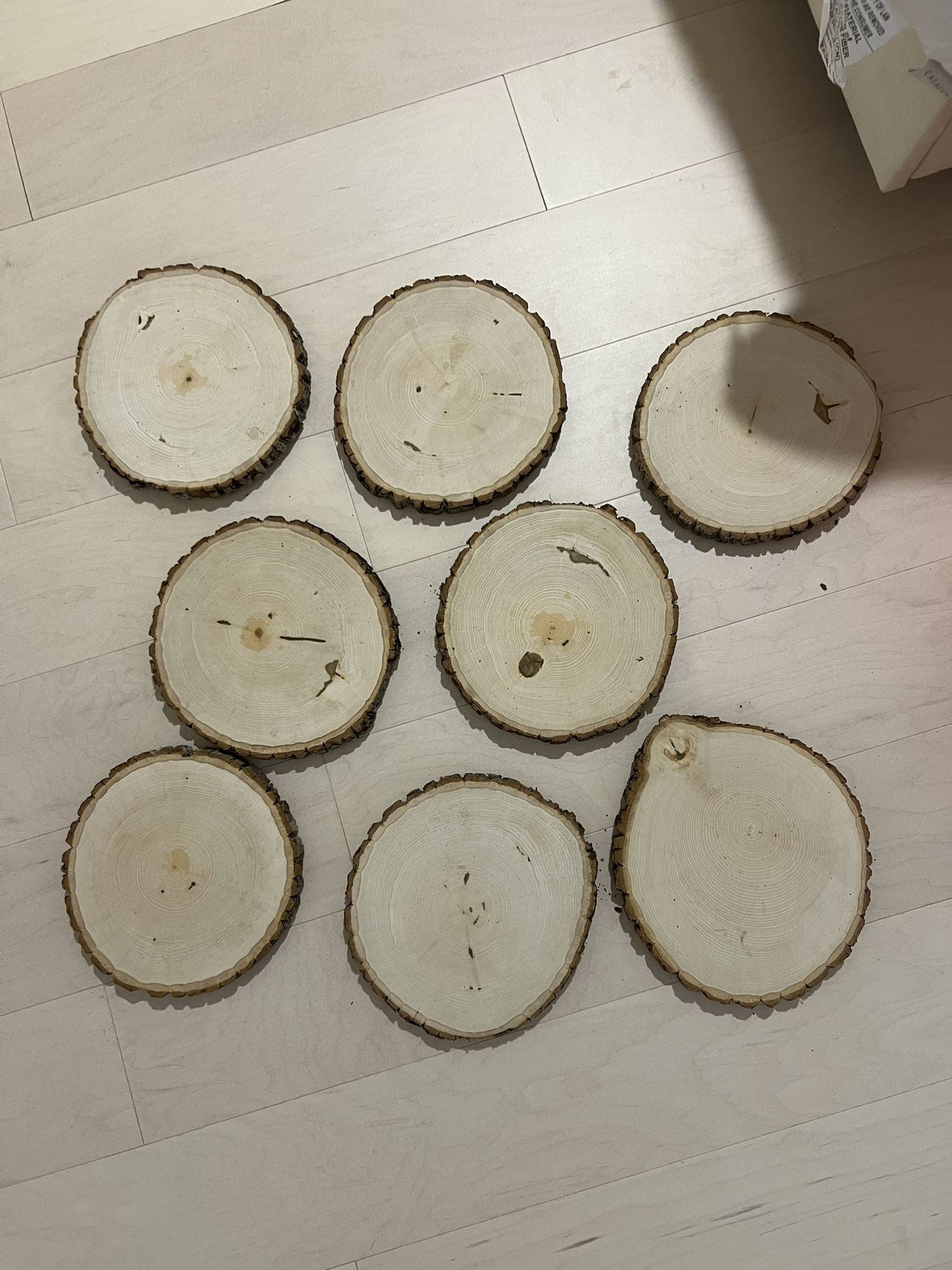 8 Raw Wooden Slabs