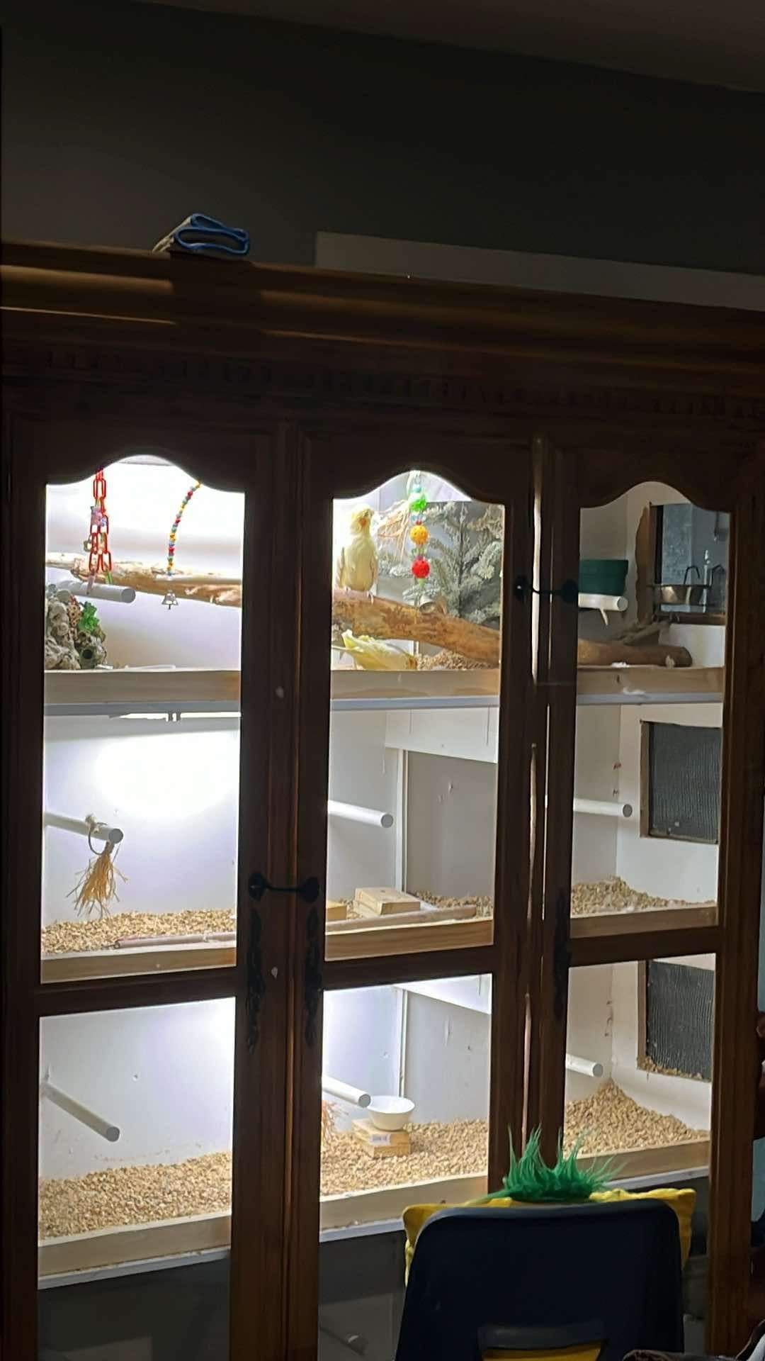 Bird Inclosure Bird Cage