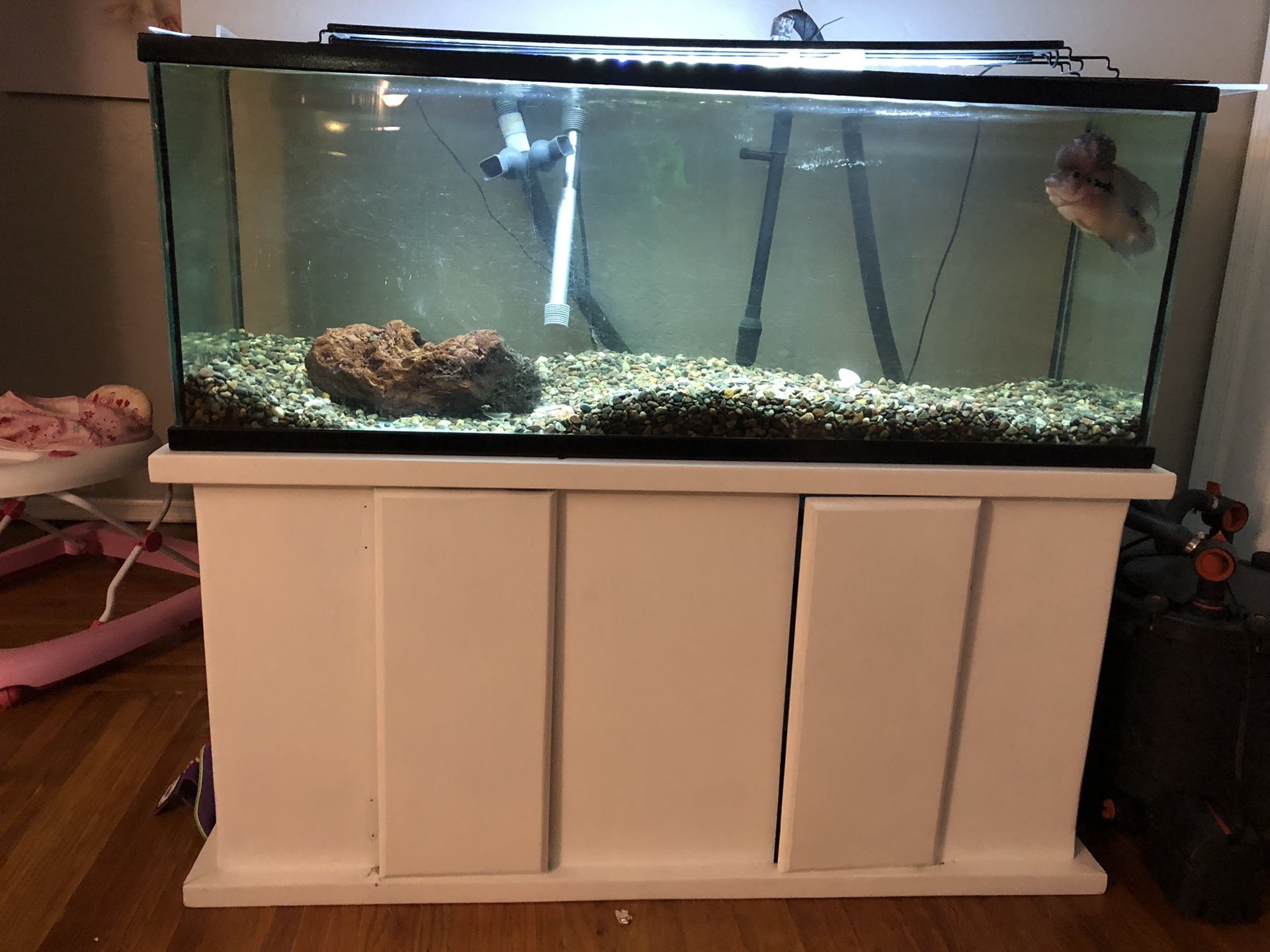75g fish tank and stand
