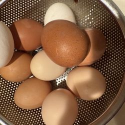 Organic eggs