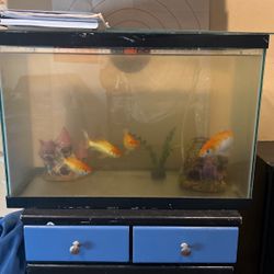 Fish Tank With Filter And Accessories Everything Letting Go For Cheap !!