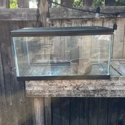 Pet Tank