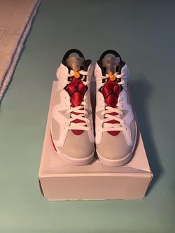 MENS JORDAN 6 HARE SIZE 10.5