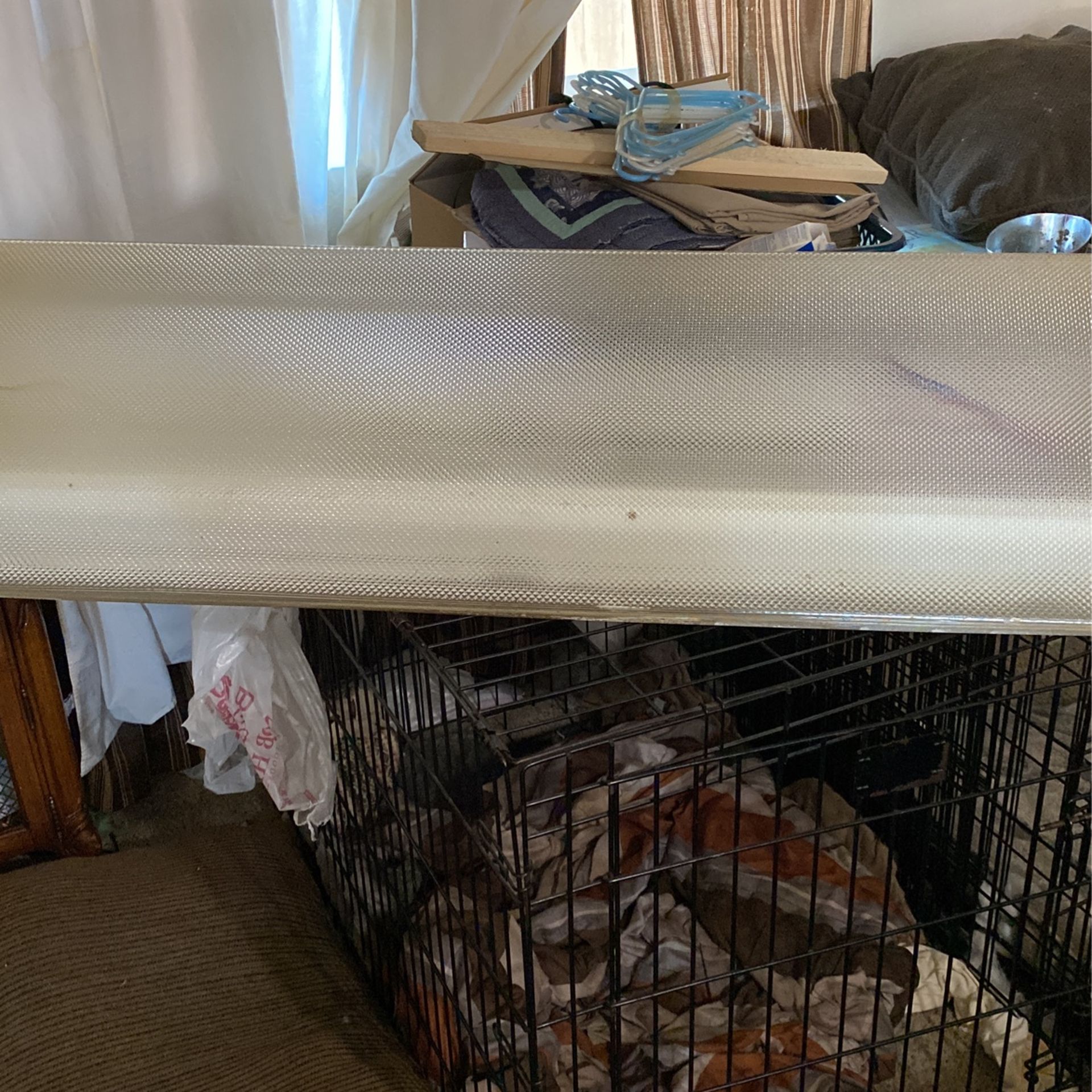 Free Light Still Available