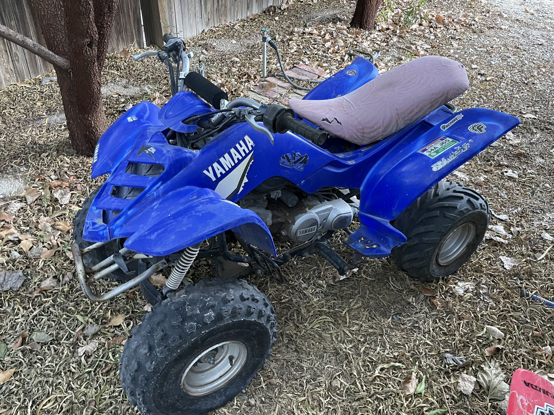 Yamaha 80 quad