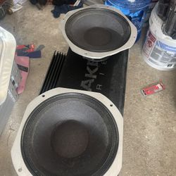 Dual audio vs  2 Peavey Scorpion SP-12825 12" Speaker 