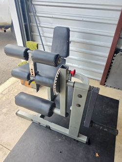 Weight leg extension/curl