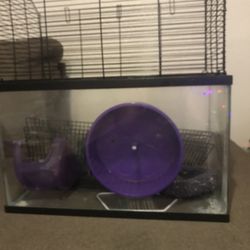 Everything U Need For A Hamster