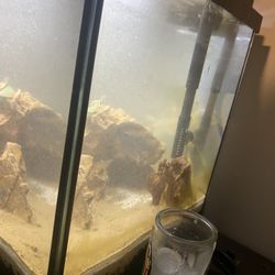 10 gallon fish tank 