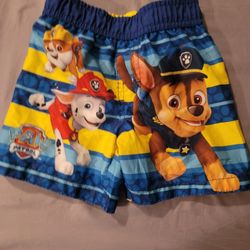 Swim Shorts 