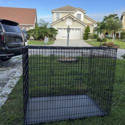 XXL Dog Crate $229 Plus Tax On Amazon