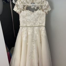 David’s Bridal Flower Girl Dress