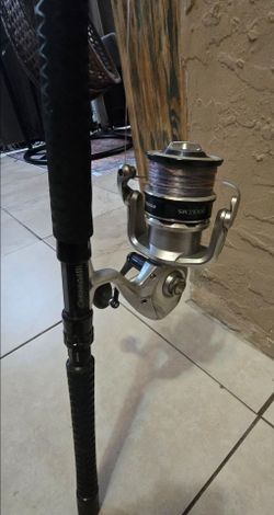 Saragosa reels
