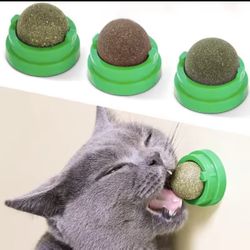 all Natural Catnip 
