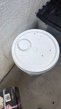 Paint and primer new