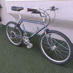 Vintage Survivor 1984 Specialized Stumpjumper Sport - Size Sm/Med