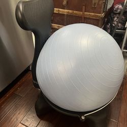 Exercise Ball Chair