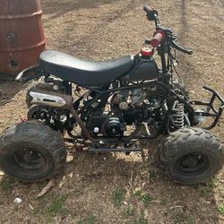 110 Coolster Atv