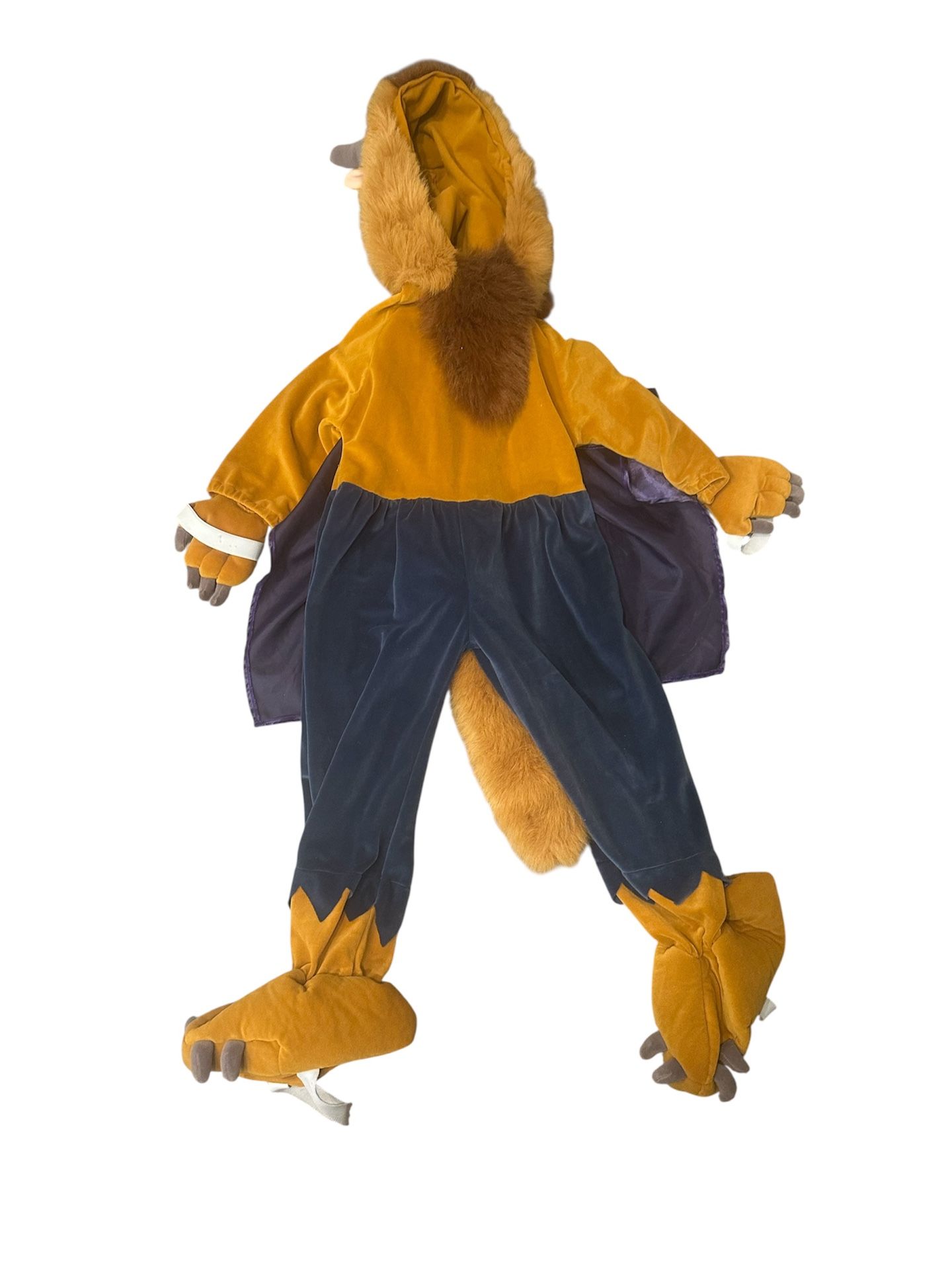 Vintage Beauty and The Beast Costume Disney Store 4-6