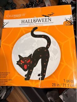 Halloween cat.