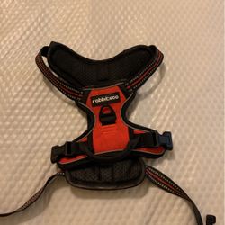 Small Dog Harness !