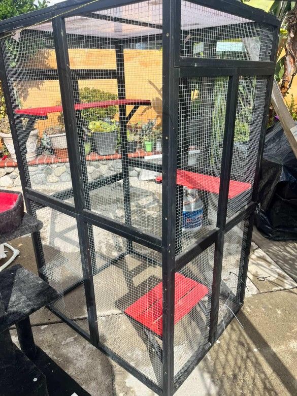 Cat House Enclosure