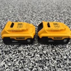 DEWALT 20V MAX Lithium-Ion 5.0Ah Battery (2-Pack)