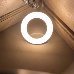 Video Conference Lighting, 6.5" Clip on Ring Light for Computer Laptop