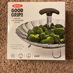 Steamer W/ Extendable Handle 