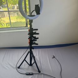 12" RGB Ring Light with Tripod - heyday™ Dark Blue: Camera Lighting and Flashes, 3.06 lbs