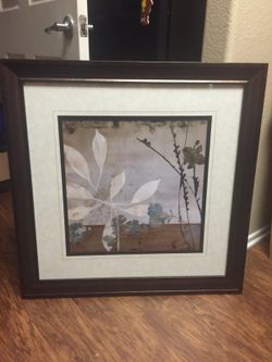 Beautiful picture with glass frame