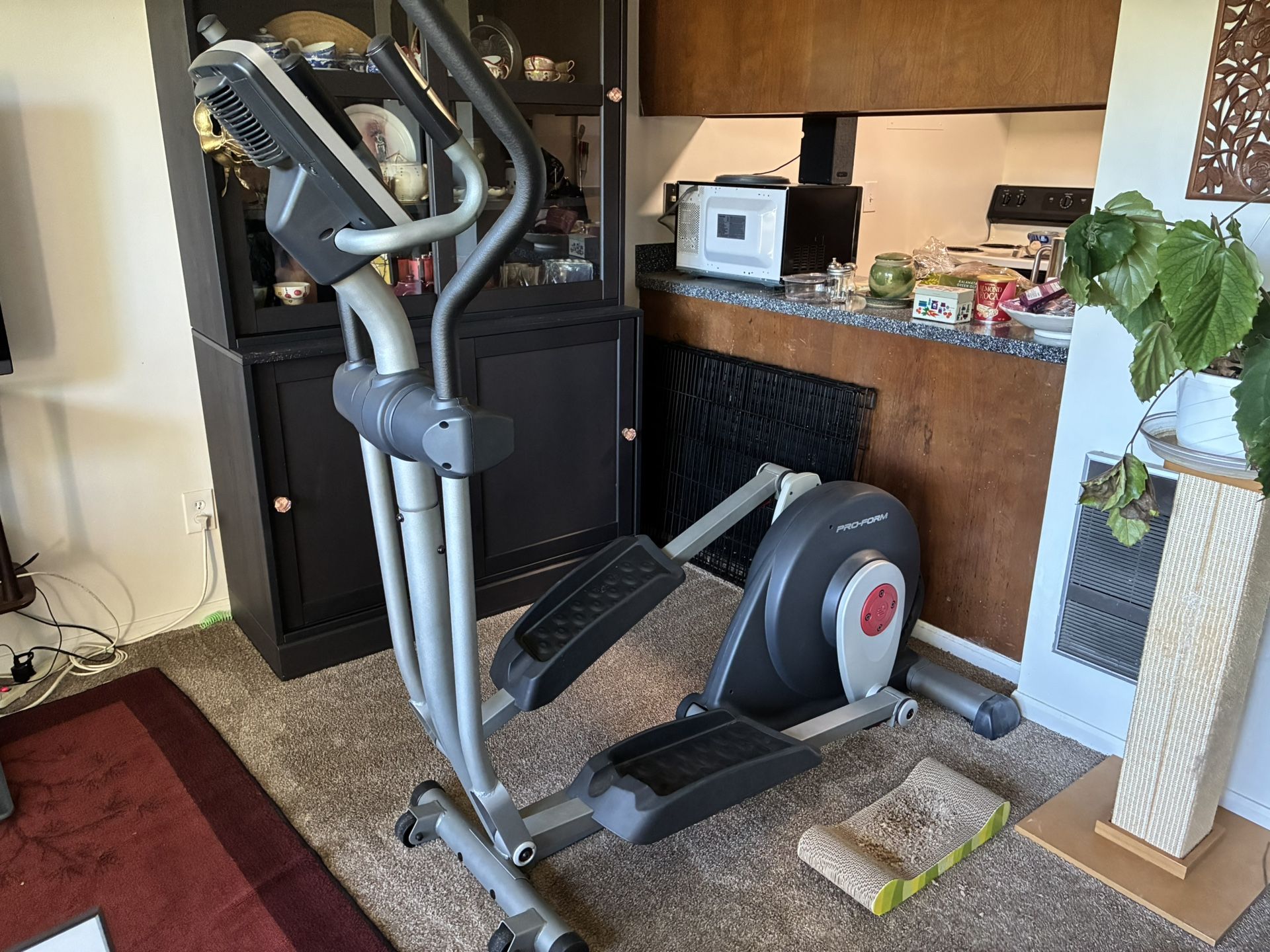 Free Elliptical-pick Up
