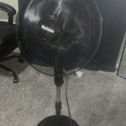 Fan