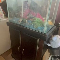 Fish Tank With Accessories And Pump 