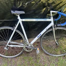 Vintage Cannondale Bike - Criterion Series