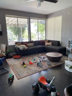 Household Lady Messy Clean 