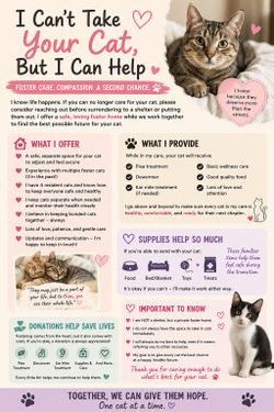 Temp Private Foster for Cats while they Find Their Forever Home