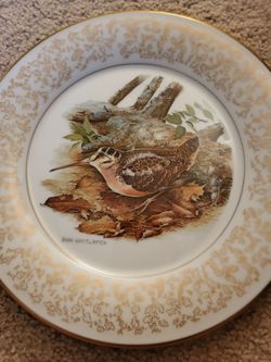 American Woodcock