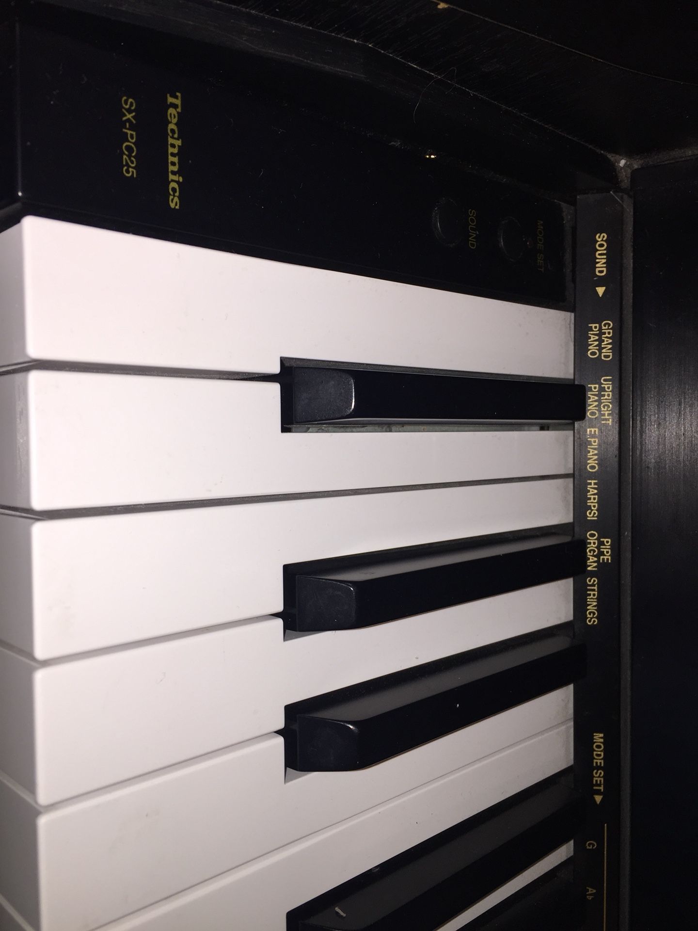 Technics SX-PC25 Digital Piano